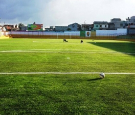 Proyecto de Estadio San Miguel