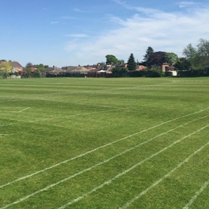 Grama Artificial en Guatemala